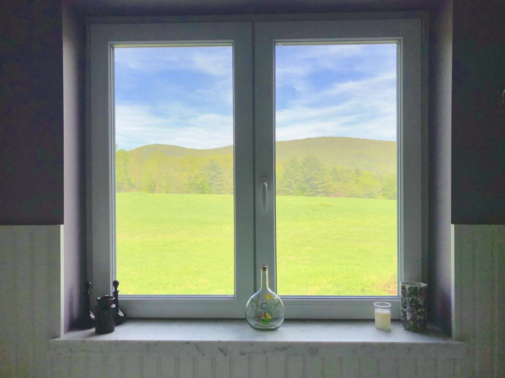 Innenansicht eines Fensters nach Fenstermontage mit grünem Außenblick und dekorativem Fensterbrett